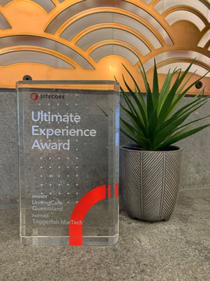 Ultimate Experience award UCQ