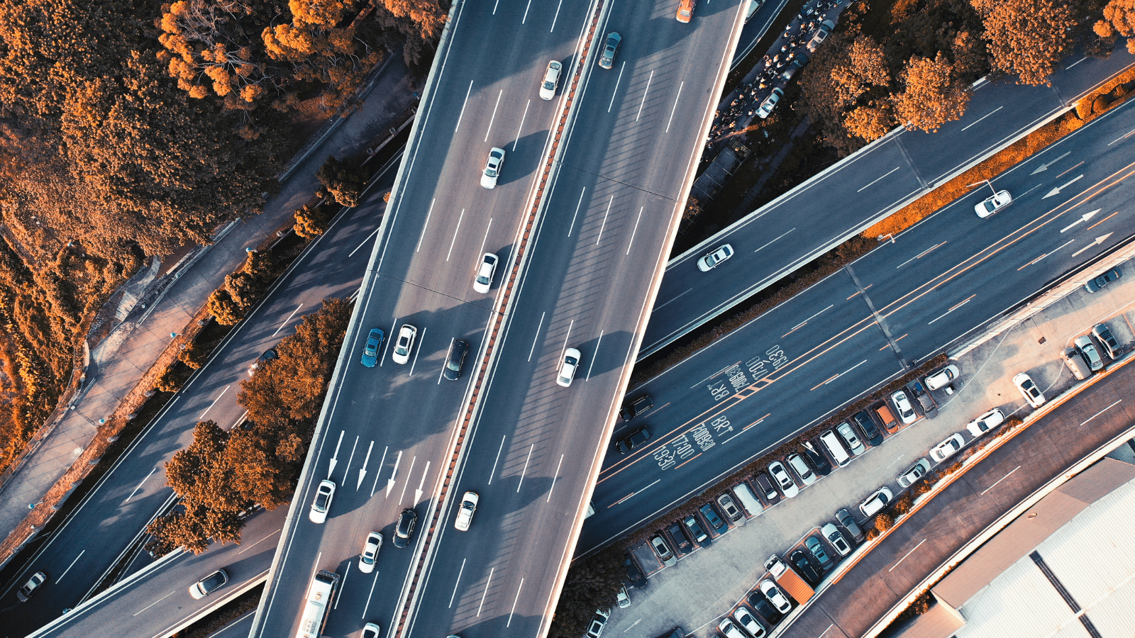 Personalisation Effectiveness: How To Establish And Implement Business-Wide Personalisation Strategies.